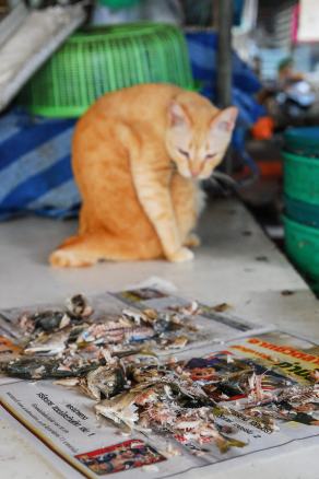 Impressions from Bangkok #41, Bangkok, Dezember 2017
