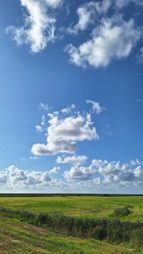 Radreise Dänemark 2024 #4, Süddänemark, Mittel-Jütland, Nordjütland, August 2024 Radreise Dänemark 2024 #4, Süddänemark, Mittel-Jütland, Nordjütland, August 2024