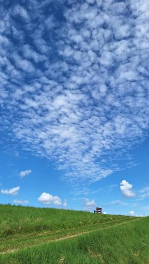 Radreise Dänemark 2024 #7, Süddänemark, Mittel-Jütland, Nordjütland, August 2024 Radreise Dänemark 2024 #7, Süddänemark, Mittel-Jütland, Nordjütland, August 2024