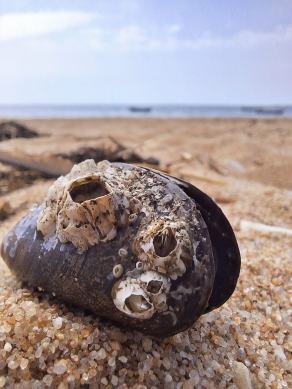 Radreise Dänemark 2024 #24, Süddänemark, Mittel-Jütland, Nordjütland, August 2024 Radreise Dänemark 2024 #24, Süddänemark, Mittel-Jütland, Nordjütland, August 2024