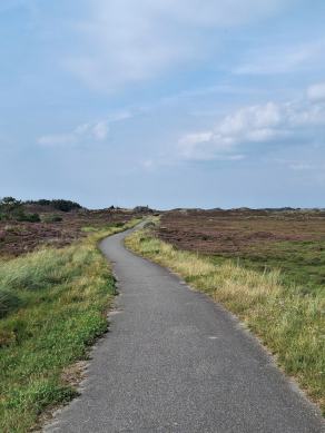 Radreise Dänemark 2024 #26, Süddänemark, Mittel-Jütland, Nordjütland, August 2024 Radreise Dänemark 2024 #26, Süddänemark, Mittel-Jütland, Nordjütland, August 2024