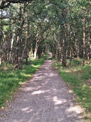 Radreise Dänemark 2024 #28, Süddänemark, Mittel-Jütland, Nordjütland, August 2024 Radreise Dänemark 2024 #28, Süddänemark, Mittel-Jütland, Nordjütland, August 2024