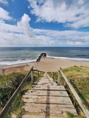 Radreise Dänemark 2024 #48, Süddänemark, Mittel-Jütland, Nordjütland, August 2024 Radreise Dänemark 2024 #48, Süddänemark, Mittel-Jütland, Nordjütland, August 2024