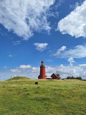 Radreise Dänemark 2024 #50, Süddänemark, Mittel-Jütland, Nordjütland, August 2024 Radreise Dänemark 2024 #50, Süddänemark, Mittel-Jütland, Nordjütland, August 2024