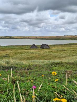 Radreise Dänemark 2024 #51, Süddänemark, Mittel-Jütland, Nordjütland, August 2024 Radreise Dänemark 2024 #51, Süddänemark, Mittel-Jütland, Nordjütland, August 2024