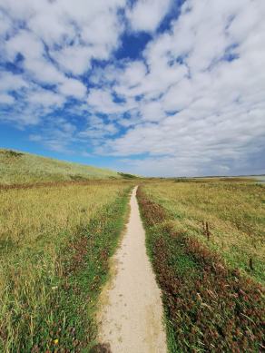 Radreise Dänemark 2024 #52, Süddänemark, Mittel-Jütland, Nordjütland, August 2024 Radreise Dänemark 2024 #52, Süddänemark, Mittel-Jütland, Nordjütland, August 2024