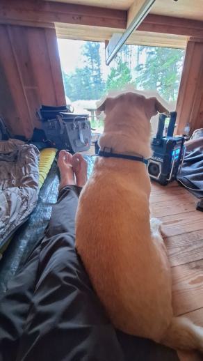 Radreise Dänemark 2024 #64, Süddänemark, Mittel-Jütland, Nordjütland, August 2024 Radreise Dänemark 2024 #64, Süddänemark, Mittel-Jütland, Nordjütland, August 2024