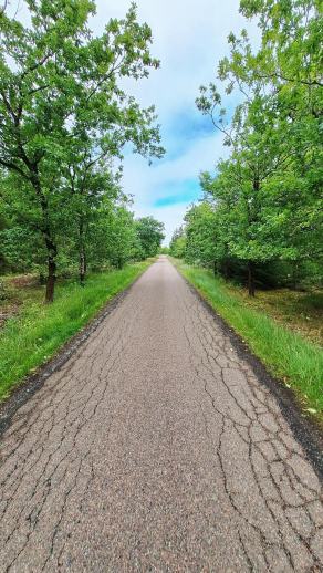 Radreise Dänemark 2024 #67, Süddänemark, Mittel-Jütland, Nordjütland, August 2024 Radreise Dänemark 2024 #67, Süddänemark, Mittel-Jütland, Nordjütland, August 2024