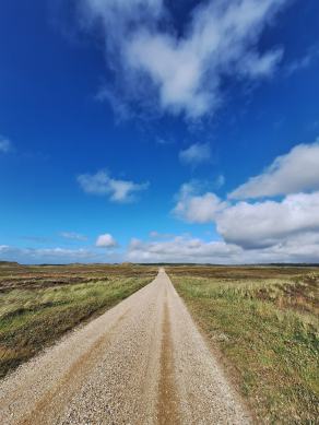 Radreise Dänemark 2024 #73, Süddänemark, Mittel-Jütland, Nordjütland, August 2024 Radreise Dänemark 2024 #73, Süddänemark, Mittel-Jütland, Nordjütland, August 2024