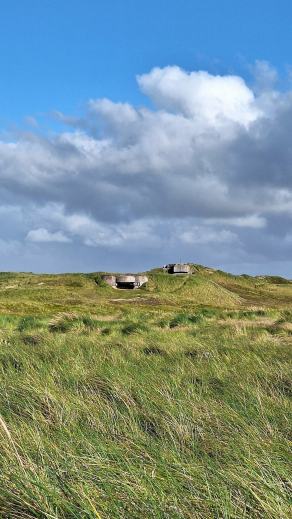 Radreise Dänemark 2024 #75, Süddänemark, Mittel-Jütland, Nordjütland, August 2024 Radreise Dänemark 2024 #75, Süddänemark, Mittel-Jütland, Nordjütland, August 2024