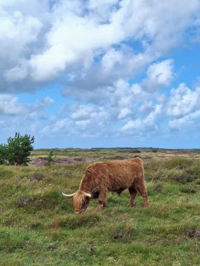 Radreise Dänemark 2024 #82, Süddänemark, Mittel-Jütland, Nordjütland, August 2024 Radreise Dänemark 2024 #82, Süddänemark, Mittel-Jütland, Nordjütland, August 2024
