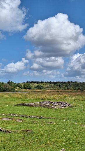 Radreise Dänemark 2024 #83, Süddänemark, Mittel-Jütland, Nordjütland, August 2024 Radreise Dänemark 2024 #83, Süddänemark, Mittel-Jütland, Nordjütland, August 2024