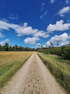 Radreise Dänemark 2024 #84, Süddänemark, Mittel-Jütland, Nordjütland, August 2024 Radreise Dänemark 2024 #84, Süddänemark, Mittel-Jütland, Nordjütland, August 2024