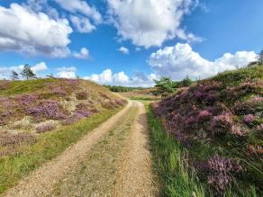 Radreise Dänemark 2024 #90, Süddänemark, Mittel-Jütland, Nordjütland, August 2024 Radreise Dänemark 2024 #90, Süddänemark, Mittel-Jütland, Nordjütland, August 2024