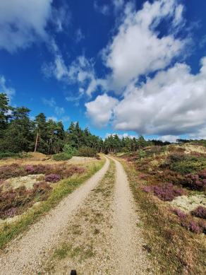 Radreise Dänemark 2024 #95, Süddänemark, Mittel-Jütland, Nordjütland, August 2024 Radreise Dänemark 2024 #95, Süddänemark, Mittel-Jütland, Nordjütland, August 2024