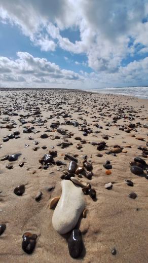 Radreise Dänemark 2024 #99, Süddänemark, Mittel-Jütland, Nordjütland, August 2024 Radreise Dänemark 2024 #99, Süddänemark, Mittel-Jütland, Nordjütland, August 2024