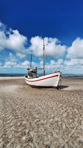 Radreise Dänemark 2024 #102, Süddänemark, Mittel-Jütland, Nordjütland, August 2024 Radreise Dänemark 2024 #102, Süddänemark, Mittel-Jütland, Nordjütland, August 2024