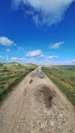 Radreise Dänemark 2024 #104, Süddänemark, Mittel-Jütland, Nordjütland, August 2024 Radreise Dänemark 2024 #104, Süddänemark, Mittel-Jütland, Nordjütland, August 2024