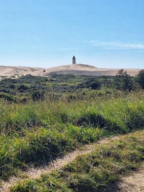 Radreise Dänemark 2024 #121, Süddänemark, Mittel-Jütland, Nordjütland, August 2024 Radreise Dänemark 2024 #121, Süddänemark, Mittel-Jütland, Nordjütland, August 2024