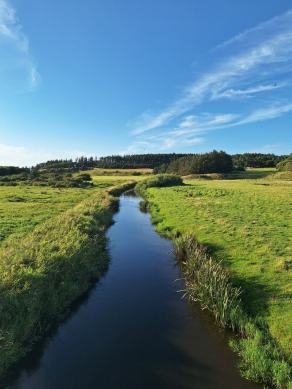 Radreise Dänemark 2024 #128, Süddänemark, Mittel-Jütland, Nordjütland, August 2024 Radreise Dänemark 2024 #128, Süddänemark, Mittel-Jütland, Nordjütland, August 2024