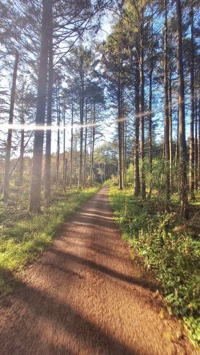 Radreise Dänemark 2024 #129, Süddänemark, Mittel-Jütland, Nordjütland, August 2024 Radreise Dänemark 2024 #129, Süddänemark, Mittel-Jütland, Nordjütland, August 2024