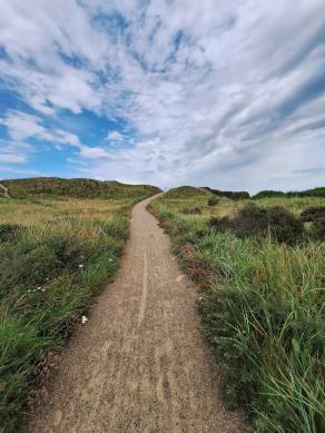 Radreise Dänemark 2024 #140, Süddänemark, Mittel-Jütland, Nordjütland, August 2024 Radreise Dänemark 2024 #140, Süddänemark, Mittel-Jütland, Nordjütland, August 2024