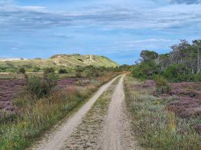 Radreise Dänemark 2024 #142, Süddänemark, Mittel-Jütland, Nordjütland, August 2024 Radreise Dänemark 2024 #142, Süddänemark, Mittel-Jütland, Nordjütland, August 2024