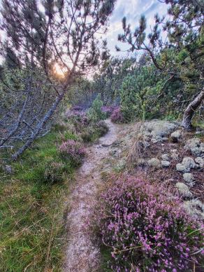 Radreise Dänemark 2024 #144, Süddänemark, Mittel-Jütland, Nordjütland, August 2024 Radreise Dänemark 2024 #144, Süddänemark, Mittel-Jütland, Nordjütland, August 2024