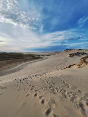 Radreise Dänemark 2024 #145, Süddänemark, Mittel-Jütland, Nordjütland, August 2024 Radreise Dänemark 2024 #145, Süddänemark, Mittel-Jütland, Nordjütland, August 2024