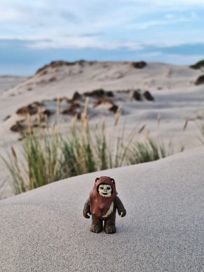 Radreise Dänemark 2024 #147, Süddänemark, Mittel-Jütland, Nordjütland, August 2024 Radreise Dänemark 2024 #147, Süddänemark, Mittel-Jütland, Nordjütland, August 2024