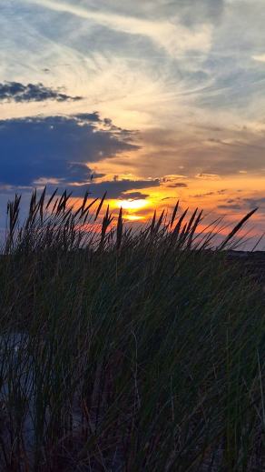 Radreise Dänemark 2024 #148, Süddänemark, Mittel-Jütland, Nordjütland, August 2024 Radreise Dänemark 2024 #148, Süddänemark, Mittel-Jütland, Nordjütland, August 2024