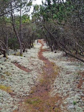 Radreise Dänemark 2024 #152, Süddänemark, Mittel-Jütland, Nordjütland, August 2024 Radreise Dänemark 2024 #152, Süddänemark, Mittel-Jütland, Nordjütland, August 2024