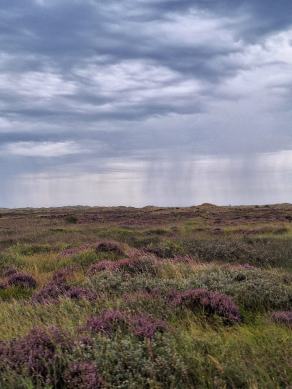 Radreise Dänemark 2024 #154, Süddänemark, Mittel-Jütland, Nordjütland, August 2024 Radreise Dänemark 2024 #154, Süddänemark, Mittel-Jütland, Nordjütland, August 2024