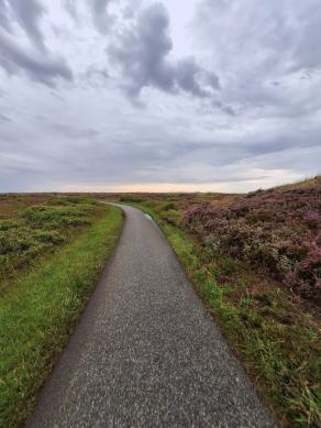 Radreise Dänemark 2024 #161, Süddänemark, Mittel-Jütland, Nordjütland, August 2024 Radreise Dänemark 2024 #161, Süddänemark, Mittel-Jütland, Nordjütland, August 2024