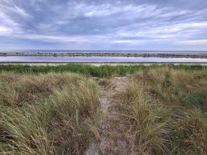 Radreise Dänemark 2024 #165, Süddänemark, Mittel-Jütland, Nordjütland, August 2024 Radreise Dänemark 2024 #165, Süddänemark, Mittel-Jütland, Nordjütland, August 2024