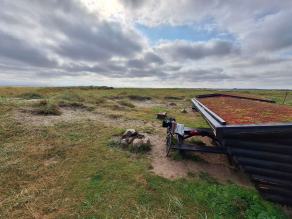 Radreise Dänemark 2024 #168, Süddänemark, Mittel-Jütland, Nordjütland, August 2024 Radreise Dänemark 2024 #168, Süddänemark, Mittel-Jütland, Nordjütland, August 2024