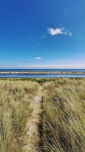 Radreise Dänemark 2024 #169, Süddänemark, Mittel-Jütland, Nordjütland, August 2024 Radreise Dänemark 2024 #169, Süddänemark, Mittel-Jütland, Nordjütland, August 2024