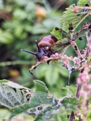 Radreise Dänemark 2024 #186, Süddänemark, Mittel-Jütland, Nordjütland, August 2024 Radreise Dänemark 2024 #186, Süddänemark, Mittel-Jütland, Nordjütland, August 2024