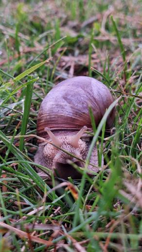 Radreise Dänemark 2024 #188, Süddänemark, Mittel-Jütland, Nordjütland, August 2024 Radreise Dänemark 2024 #188, Süddänemark, Mittel-Jütland, Nordjütland, August 2024