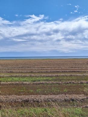 Radreise Dänemark 2024 #189, Süddänemark, Mittel-Jütland, Nordjütland, August 2024 Radreise Dänemark 2024 #189, Süddänemark, Mittel-Jütland, Nordjütland, August 2024