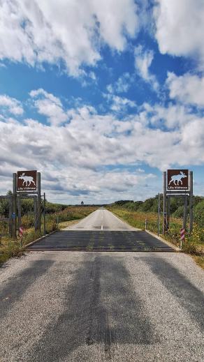 Radreise Dänemark 2024 #203, Süddänemark, Mittel-Jütland, Nordjütland, August 2024 Radreise Dänemark 2024 #203, Süddänemark, Mittel-Jütland, Nordjütland, August 2024