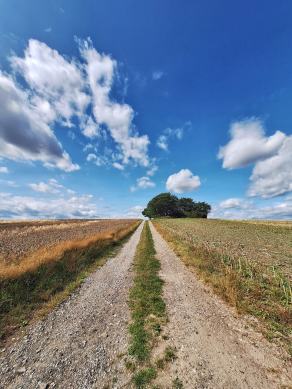 Radreise Dänemark 2024 #205, Süddänemark, Mittel-Jütland, Nordjütland, August 2024 Radreise Dänemark 2024 #205, Süddänemark, Mittel-Jütland, Nordjütland, August 2024