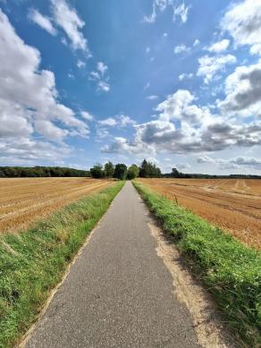 Radreise Dänemark 2024 #208, Süddänemark, Mittel-Jütland, Nordjütland, August 2024 Radreise Dänemark 2024 #208, Süddänemark, Mittel-Jütland, Nordjütland, August 2024