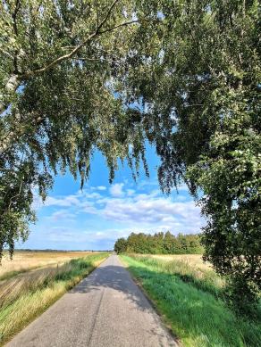 Radreise Dänemark 2024 #216, Süddänemark, Mittel-Jütland, Nordjütland, August 2024 Radreise Dänemark 2024 #216, Süddänemark, Mittel-Jütland, Nordjütland, August 2024