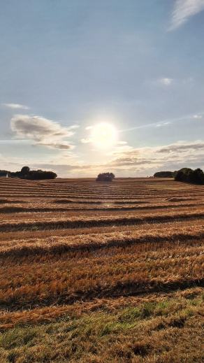 Radreise Dänemark 2024 #222, Süddänemark, Mittel-Jütland, Nordjütland, August 2024 Radreise Dänemark 2024 #222, Süddänemark, Mittel-Jütland, Nordjütland, August 2024