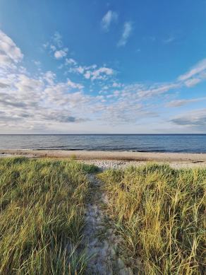 Radreise Dänemark 2024 #223, Süddänemark, Mittel-Jütland, Nordjütland, August 2024 Radreise Dänemark 2024 #223, Süddänemark, Mittel-Jütland, Nordjütland, August 2024