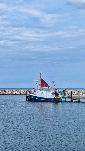 Radreise Dänemark 2024 #231, Süddänemark, Mittel-Jütland, Nordjütland, August 2024 Radreise Dänemark 2024 #231, Süddänemark, Mittel-Jütland, Nordjütland, August 2024