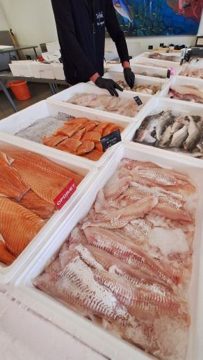 Radreise Dänemark 2024 #232, Süddänemark, Mittel-Jütland, Nordjütland, August 2024 Radreise Dänemark 2024 #232, Süddänemark, Mittel-Jütland, Nordjütland, August 2024