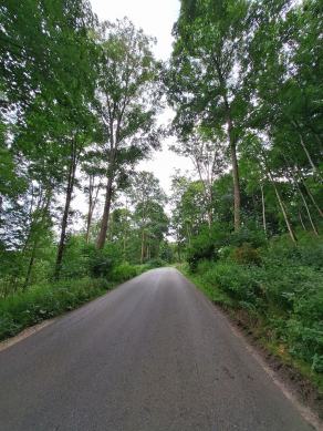 Radreise Dänemark 2024 #233, Süddänemark, Mittel-Jütland, Nordjütland, August 2024 Radreise Dänemark 2024 #233, Süddänemark, Mittel-Jütland, Nordjütland, August 2024