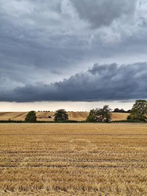 Radreise Dänemark 2024 #240, Süddänemark, Mittel-Jütland, Nordjütland, August 2024 Radreise Dänemark 2024 #240, Süddänemark, Mittel-Jütland, Nordjütland, August 2024